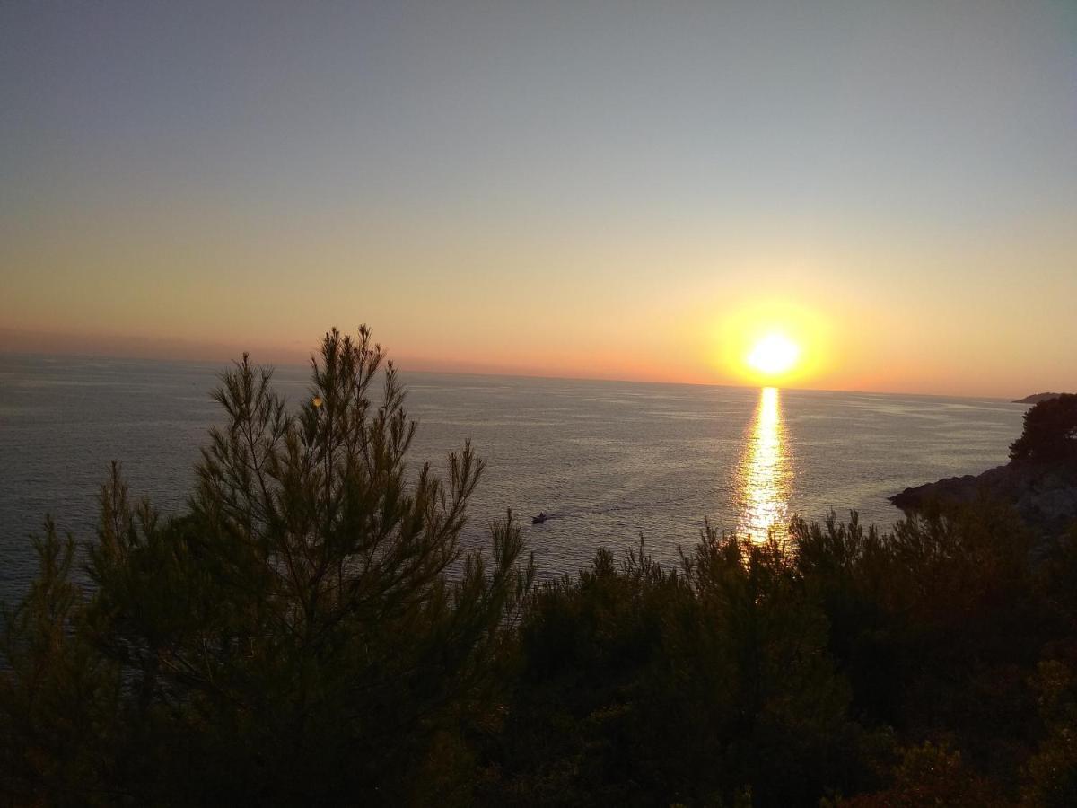 Villa Zora, Starigrad Paklenica, Селине Экстерьер фото